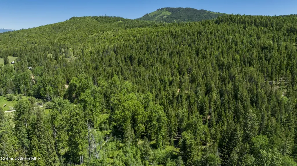 Tbd Kreiger Creek Road Lot 2 Careywood ID 83809
