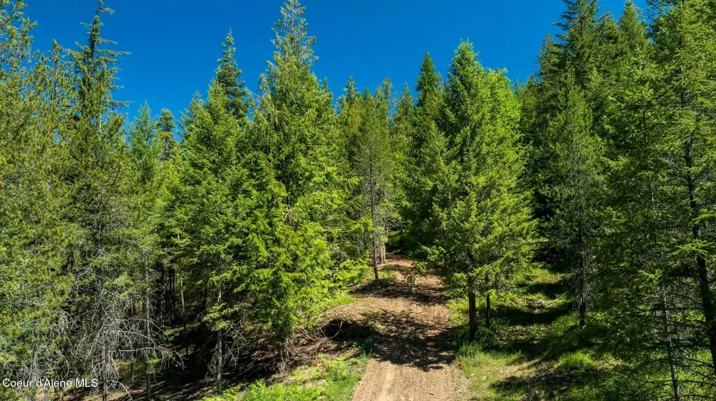 Tbd Kreiger Creek Road Lot 2 Careywood ID 83809