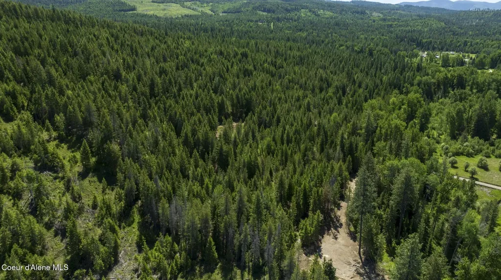 Tbd Kreiger Creek Road Lot 2 Careywood ID 83809