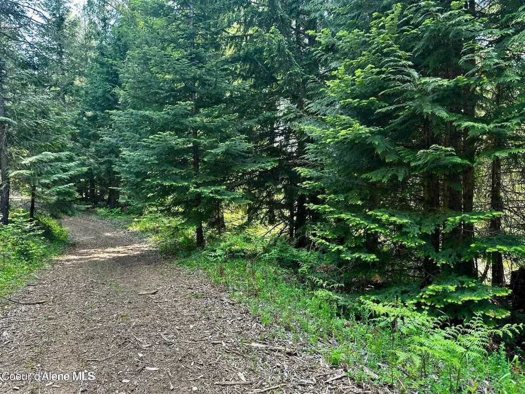 Tbd Kreiger Creek Road Lot 2 Careywood ID 83809