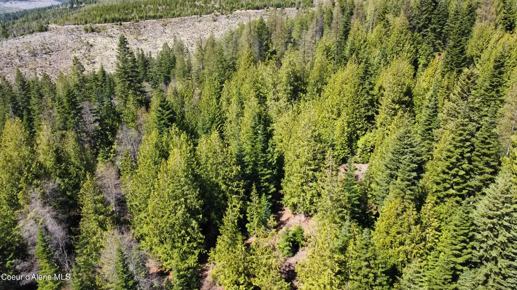 Nka Alder Creek St. Maries ID 83861