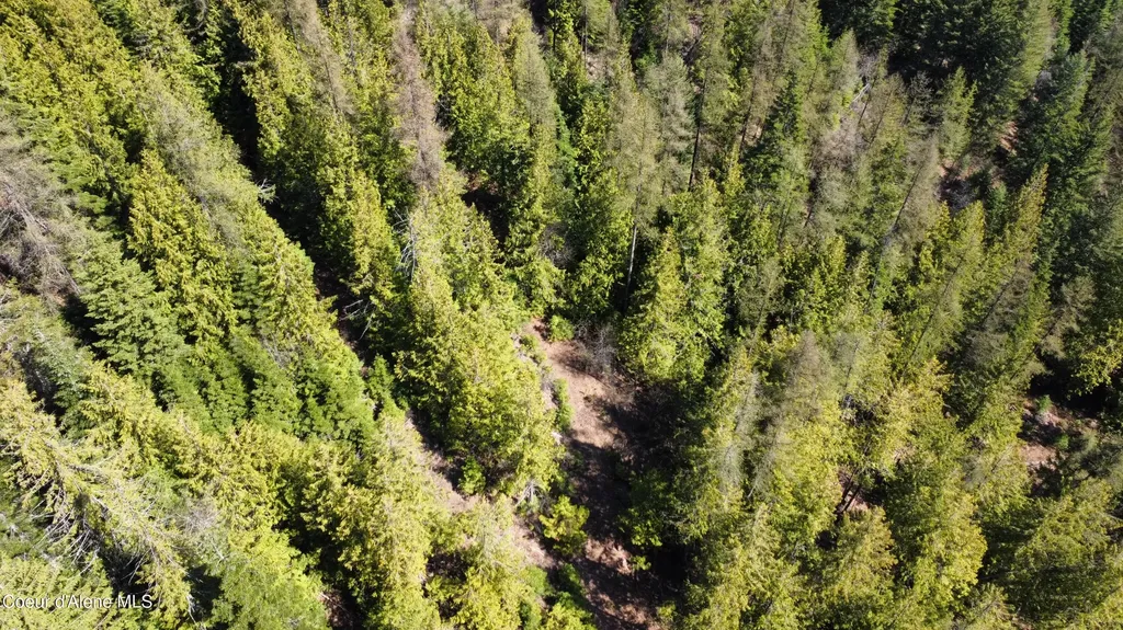 Nka Alder Creek St. Maries ID 83861