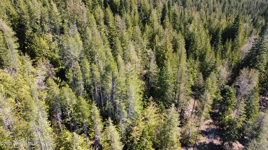Nka Alder Creek St. Maries ID 83861