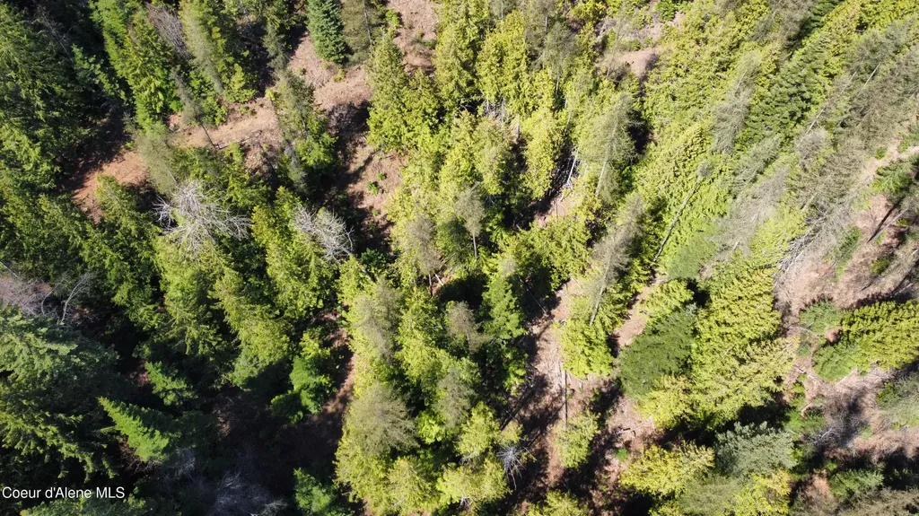 Nka Alder Creek St. Maries ID 83861