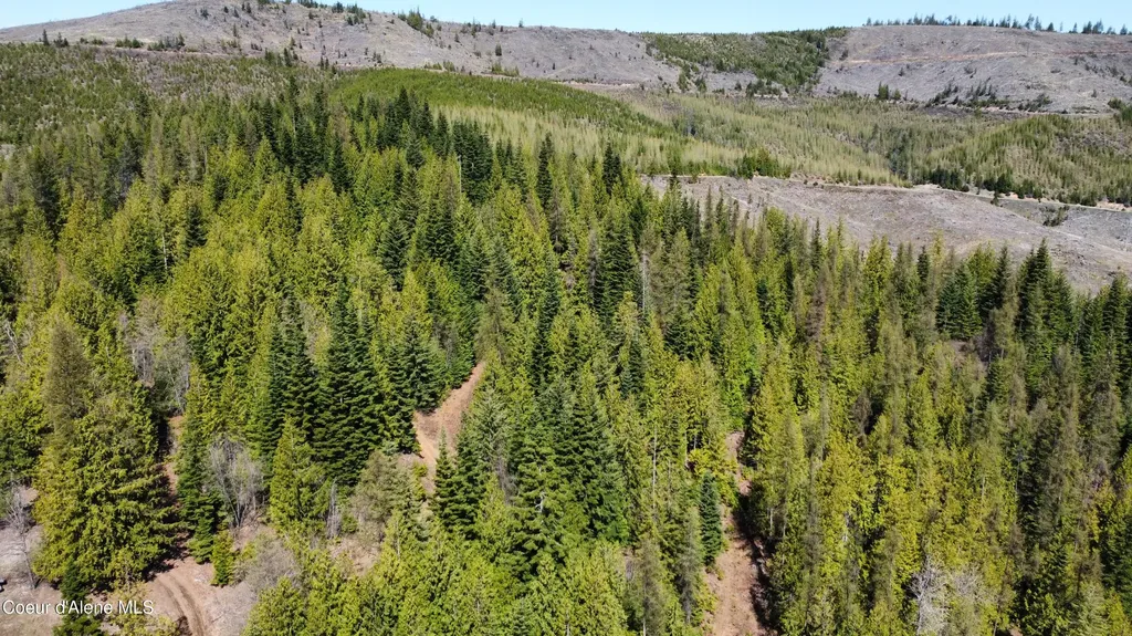 Nka Alder Creek St. Maries ID 83861