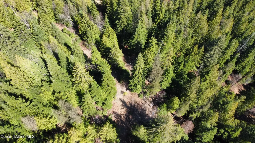 Nka Alder Creek St. Maries ID 83861