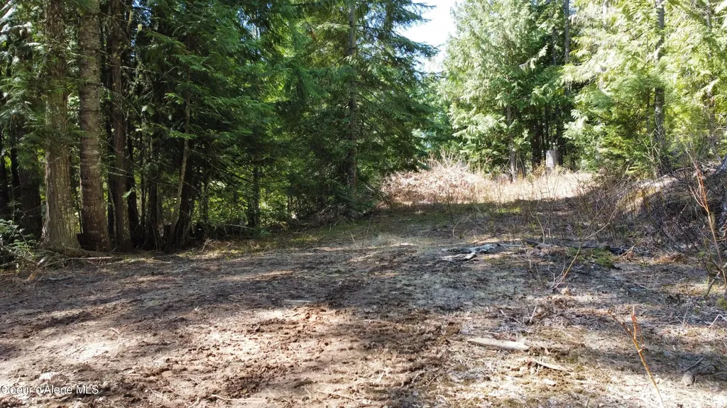 Nka Alder Creek St. Maries ID 83861