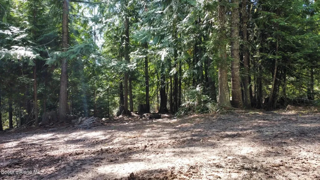 Nka Alder Creek St. Maries ID 83861