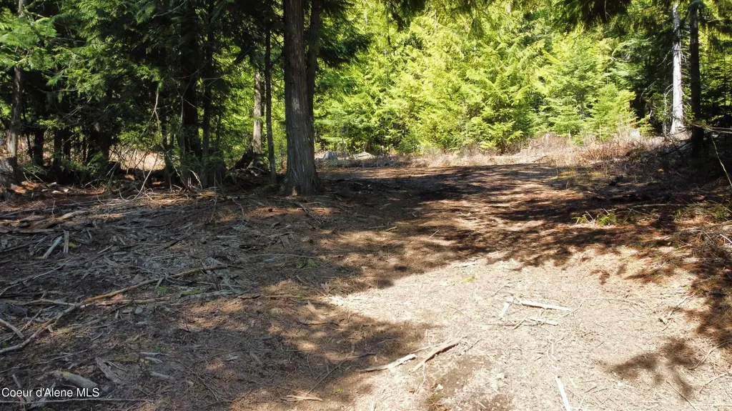 Nka Alder Creek St. Maries ID 83861