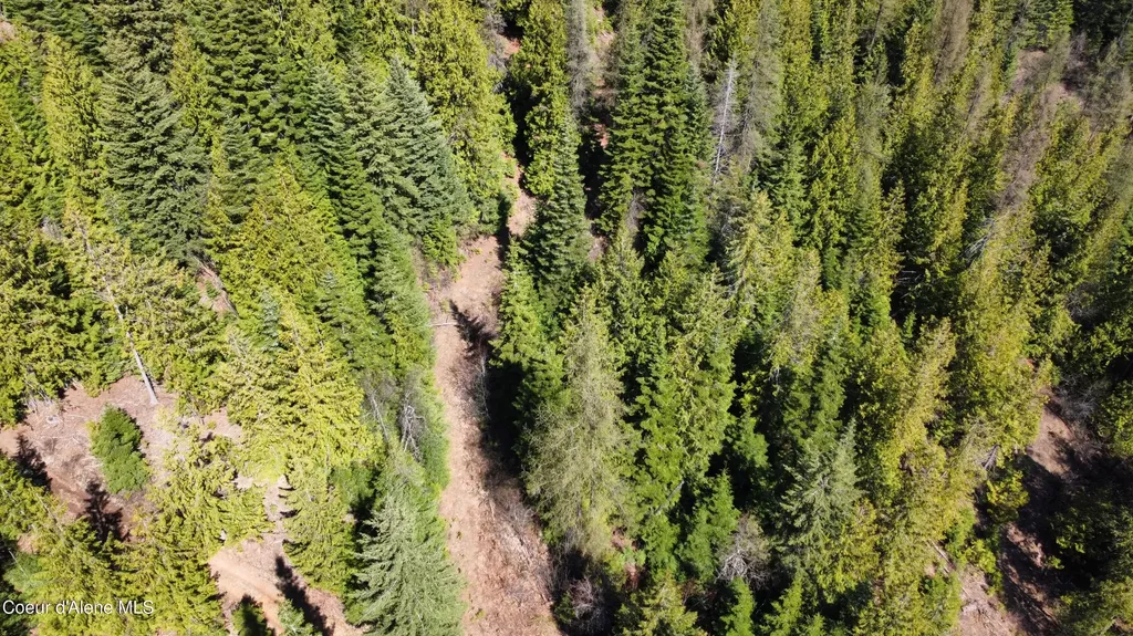 Nka Alder Creek St. Maries ID 83861