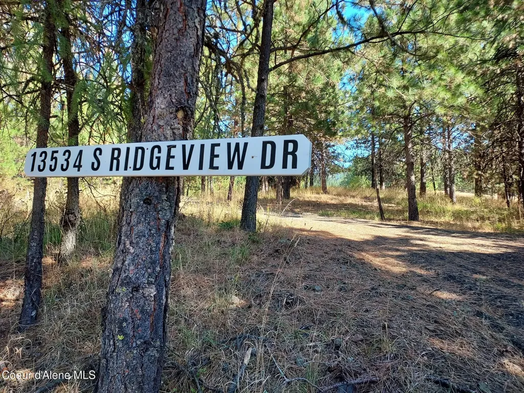 13534 S Ridgeview Drive Harrison ID 83833