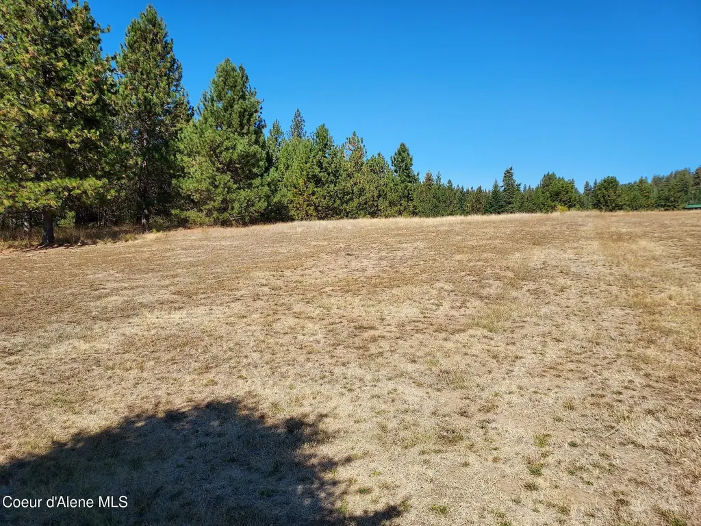 13534 S Ridgeview Drive Harrison ID 83833