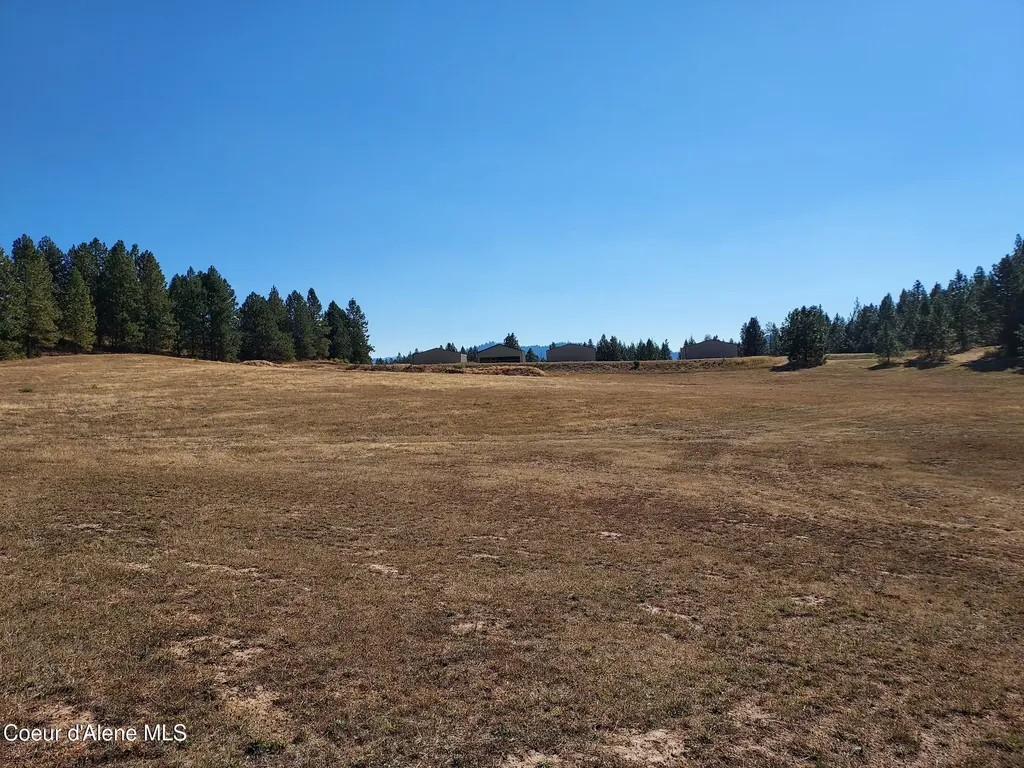 13534 S Ridgeview Drive Harrison ID 83833