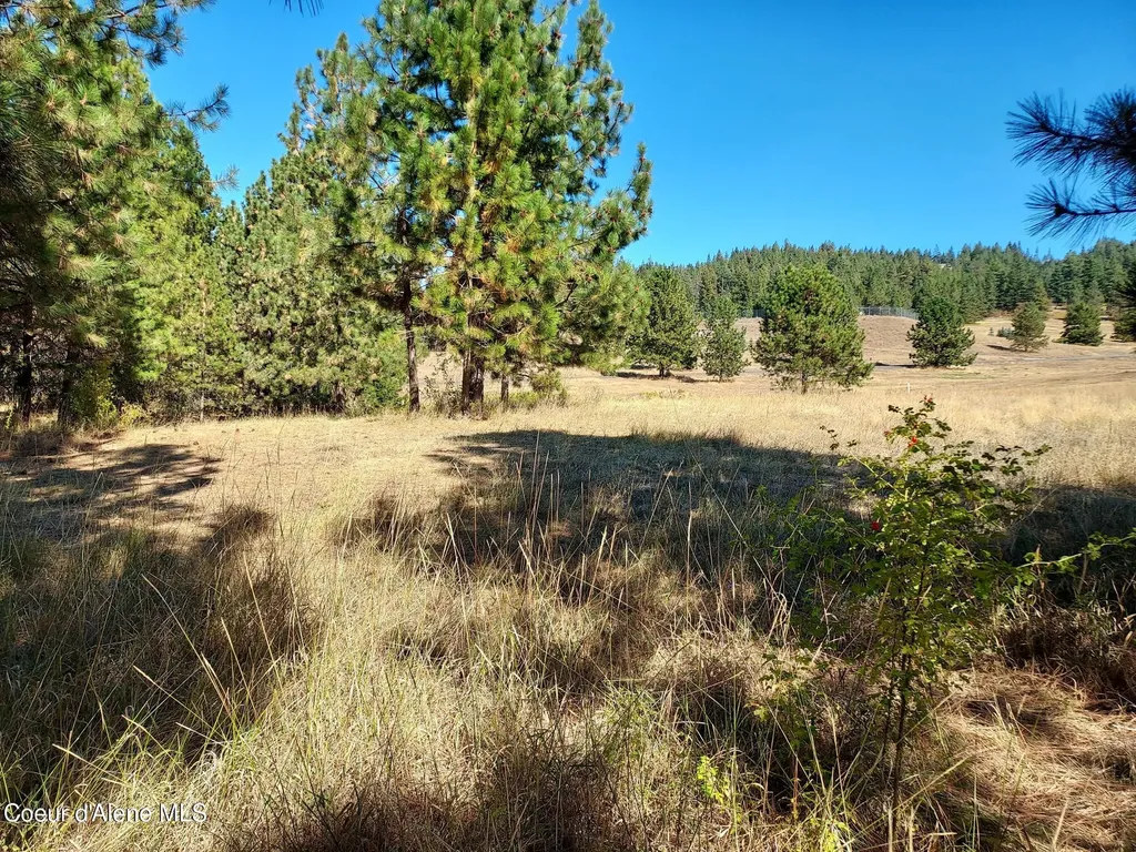 13534 S Ridgeview Drive Harrison ID 83833