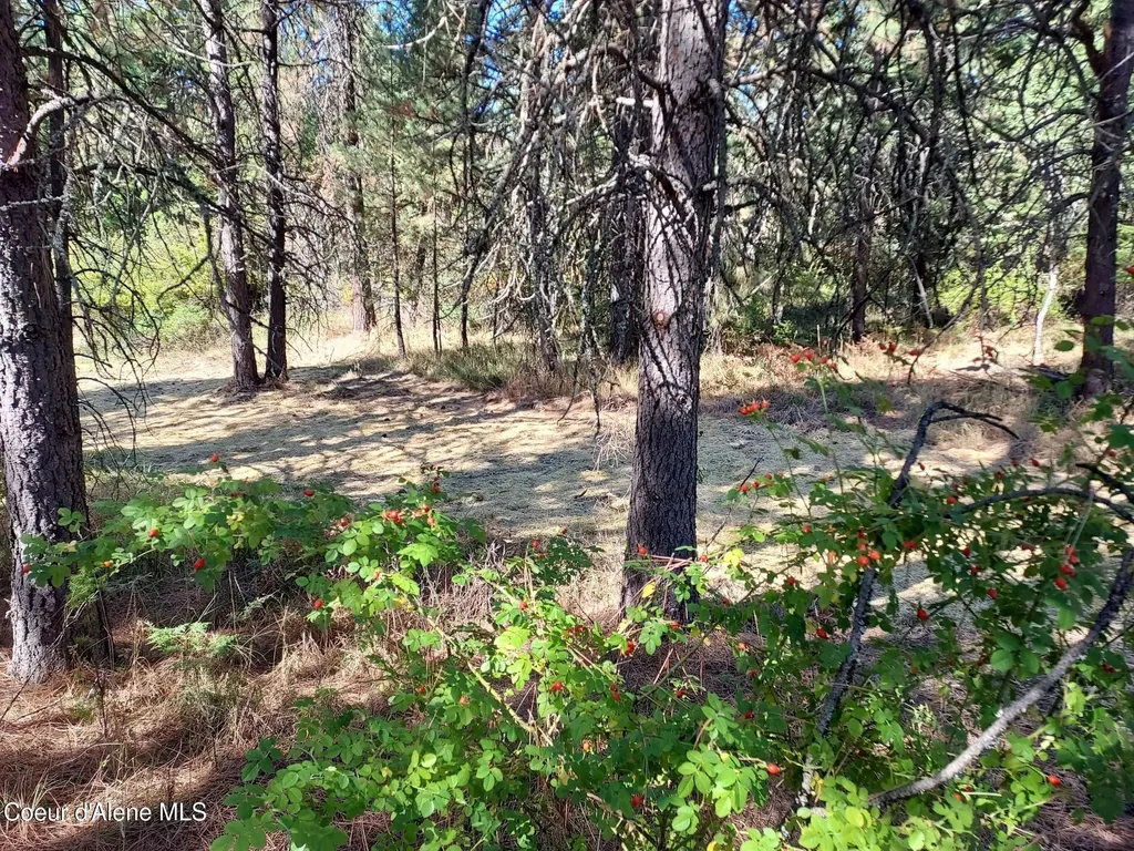 13534 S Ridgeview Drive Harrison ID 83833