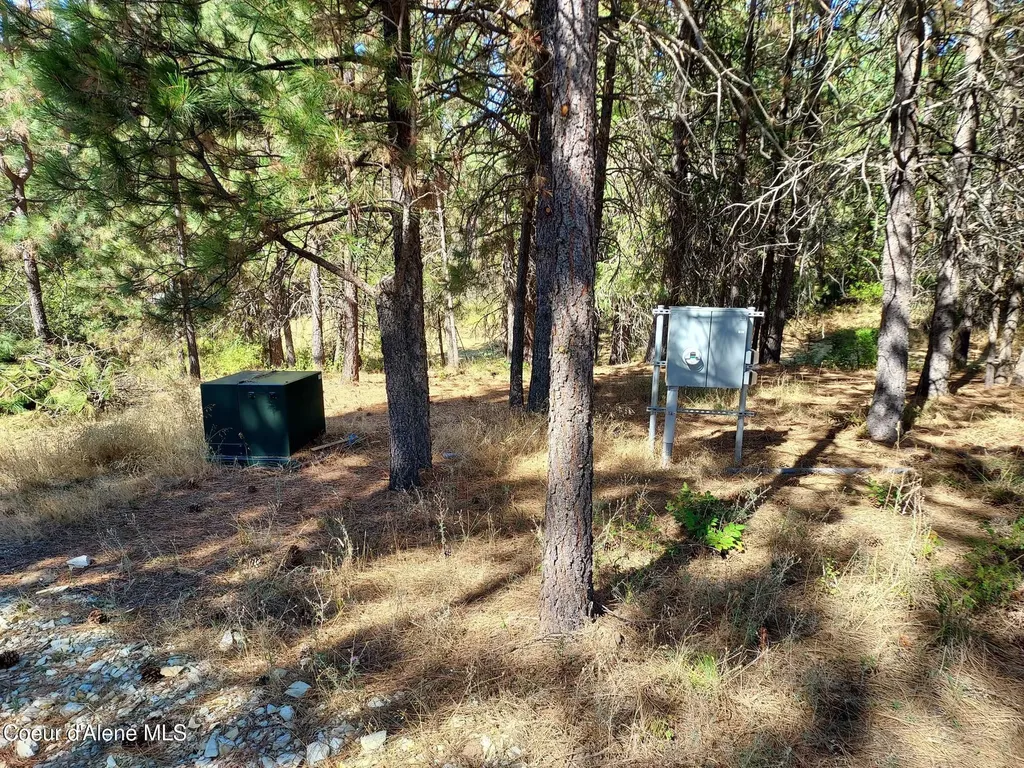 13534 S Ridgeview Drive Harrison ID 83833