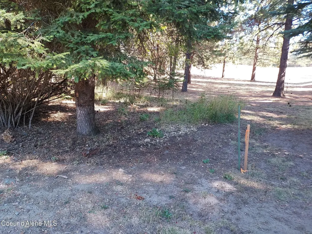 13534 S Ridgeview Drive Harrison ID 83833