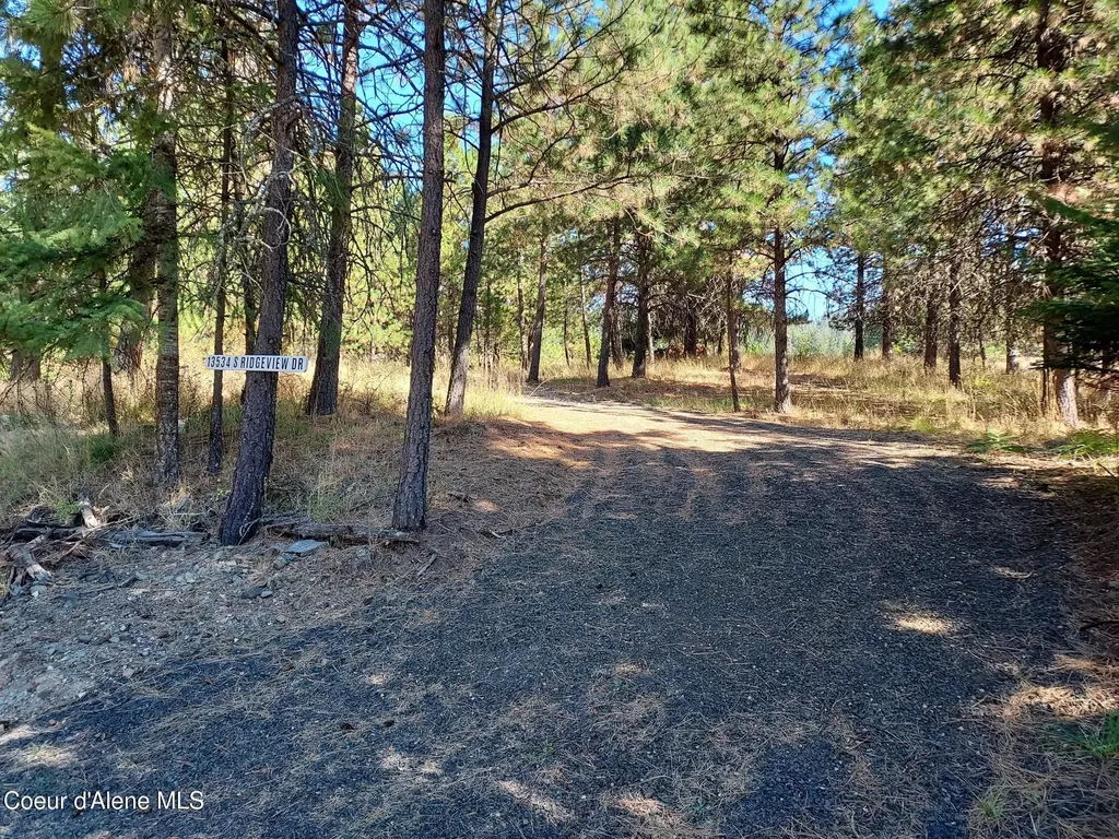 13534 S Ridgeview Drive Harrison ID 83833