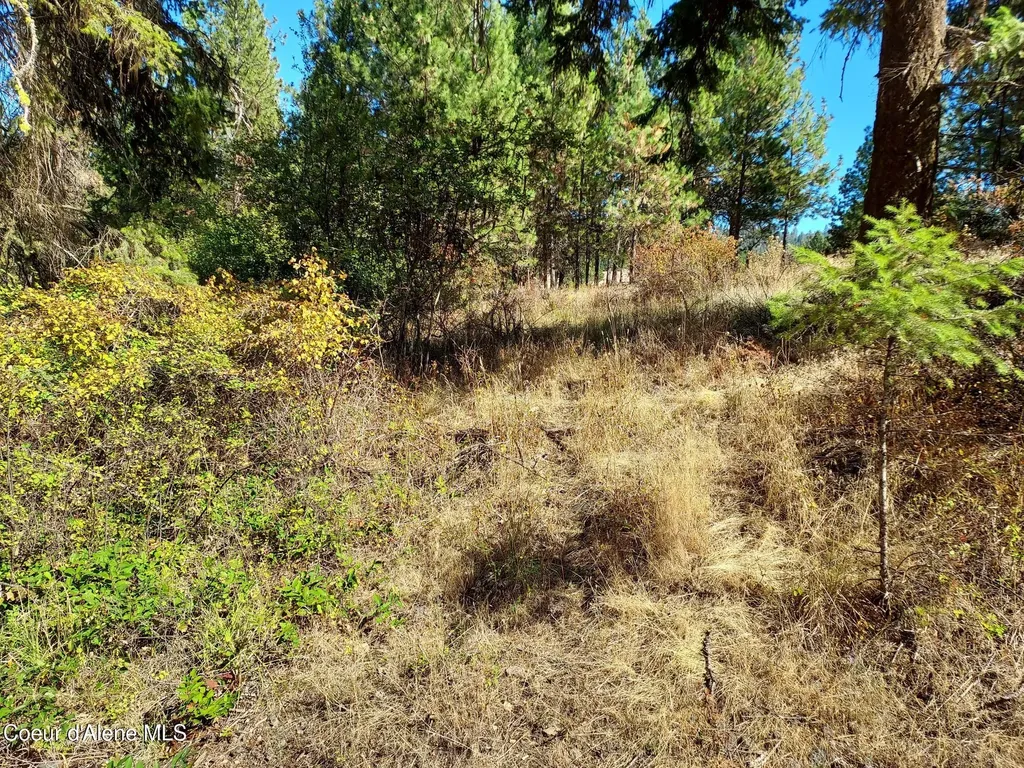 13534 S Ridgeview Drive Harrison ID 83833