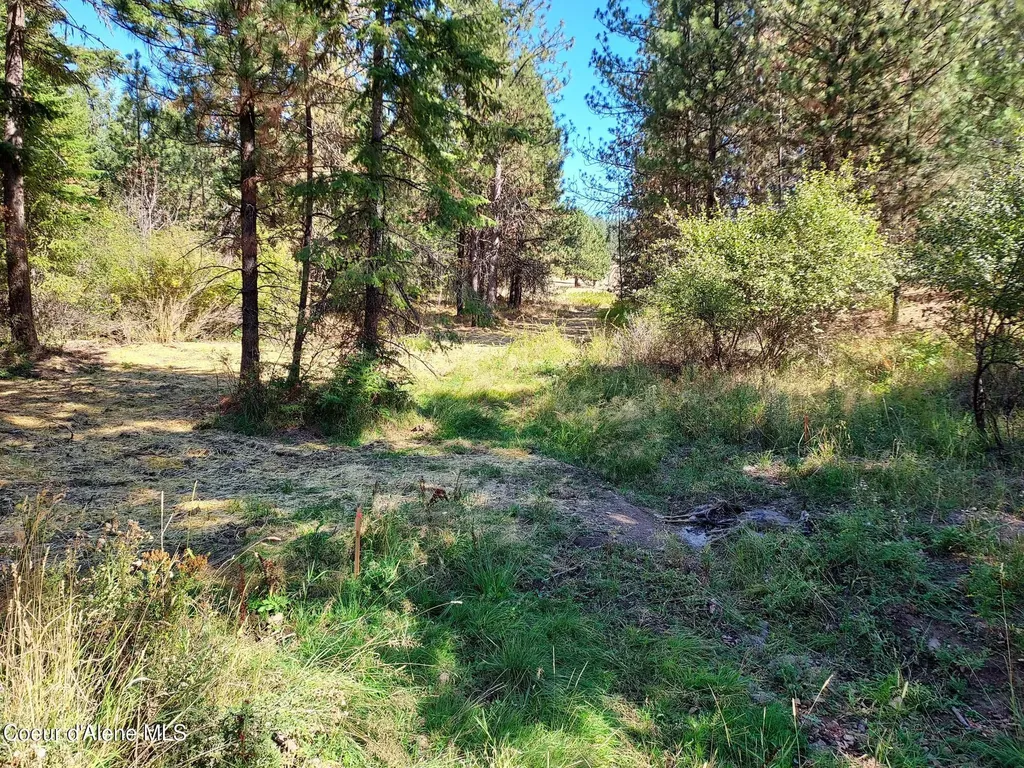 13534 S Ridgeview Drive Harrison ID 83833