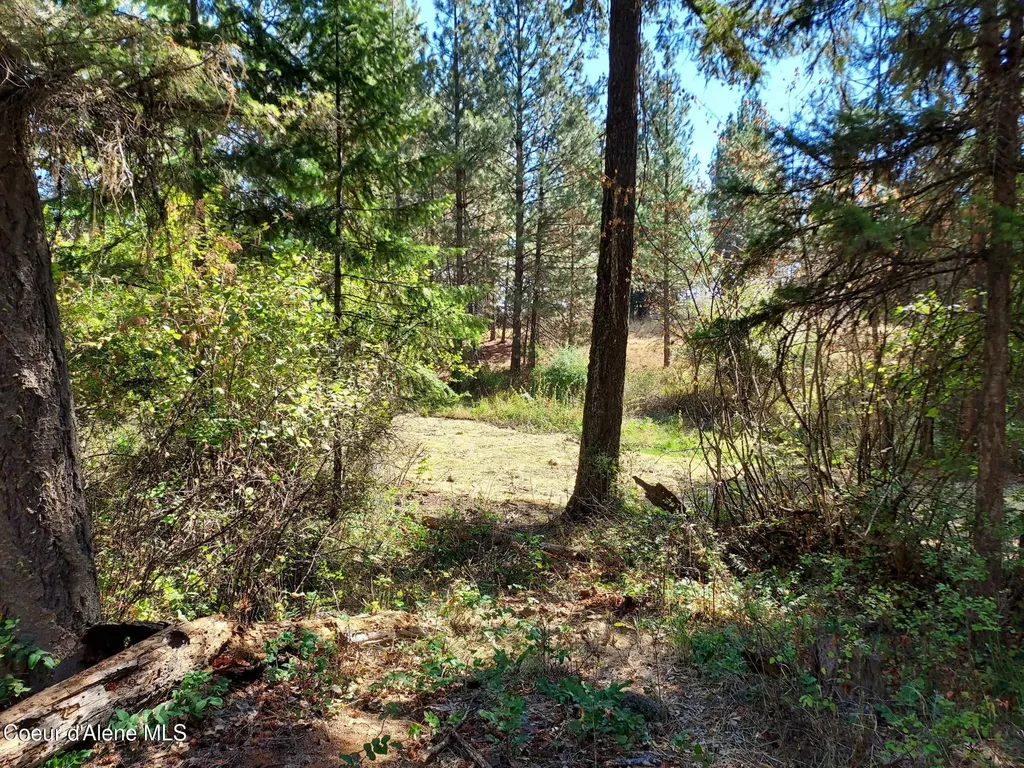 13534 S Ridgeview Drive Harrison ID 83833