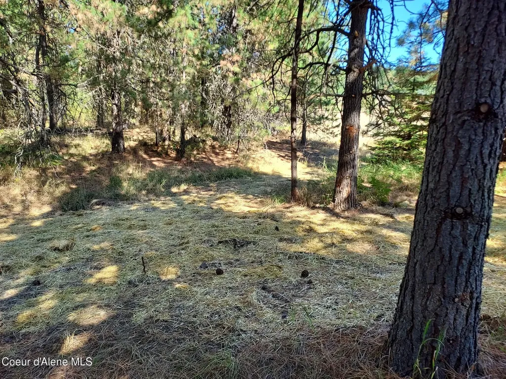 13534 S Ridgeview Drive Harrison ID 83833