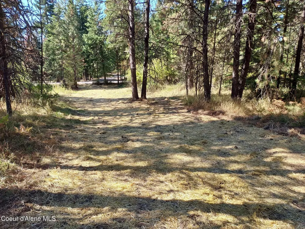 13534 S Ridgeview Drive Harrison ID 83833