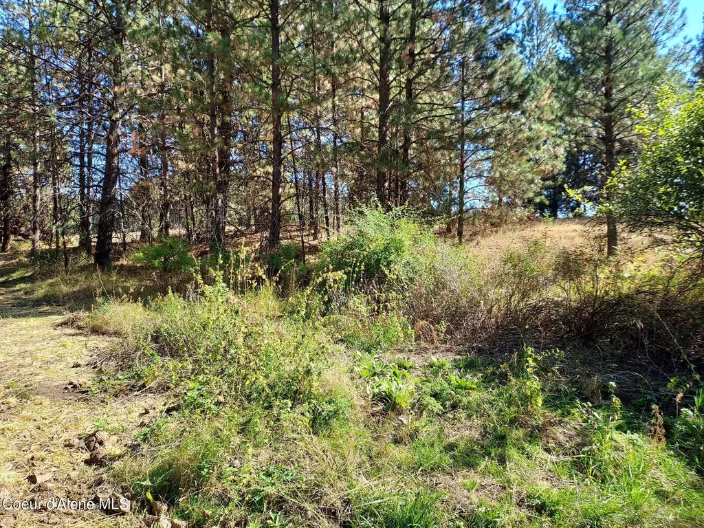 13534 S Ridgeview Drive Harrison ID 83833