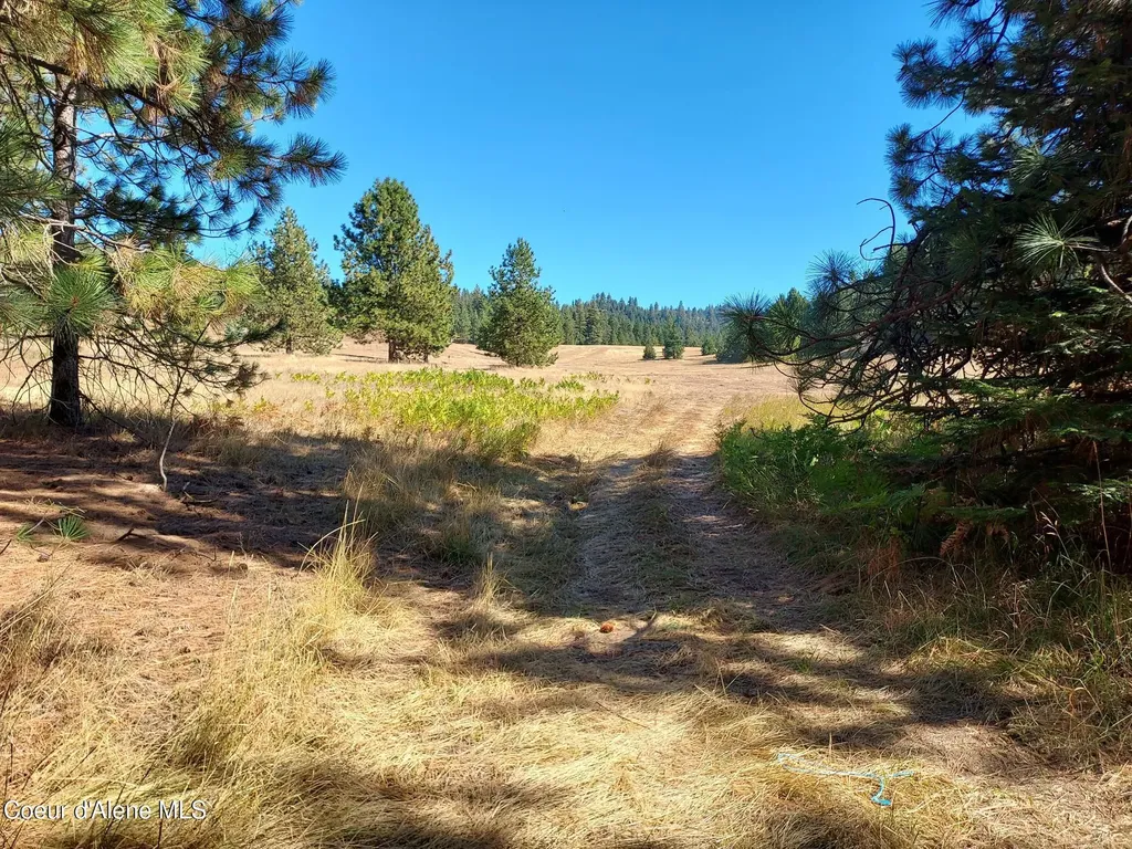 13534 S Ridgeview Drive Harrison ID 83833