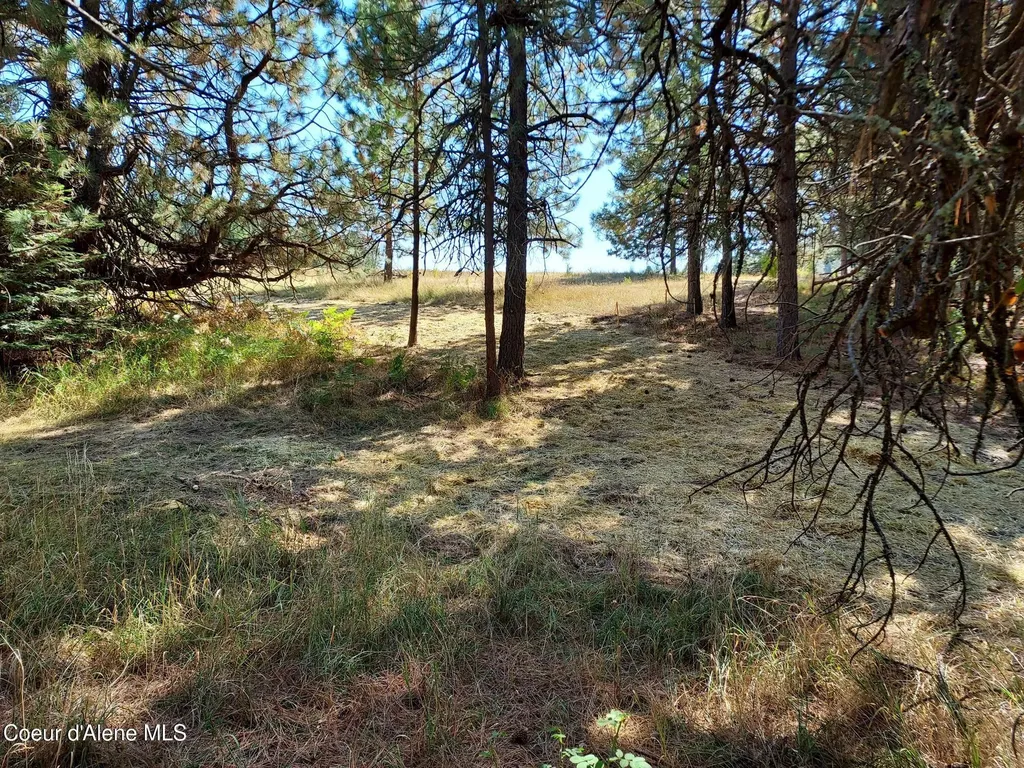 13534 S Ridgeview Drive Harrison ID 83833