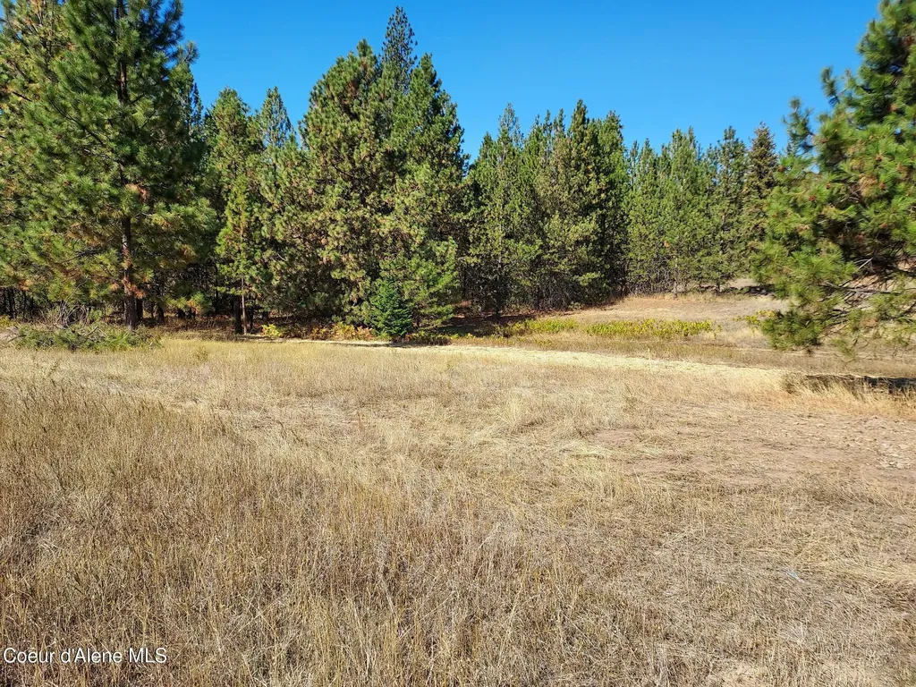 13534 S Ridgeview Drive Harrison ID 83833