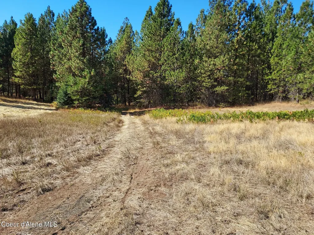 13534 S Ridgeview Drive Harrison ID 83833