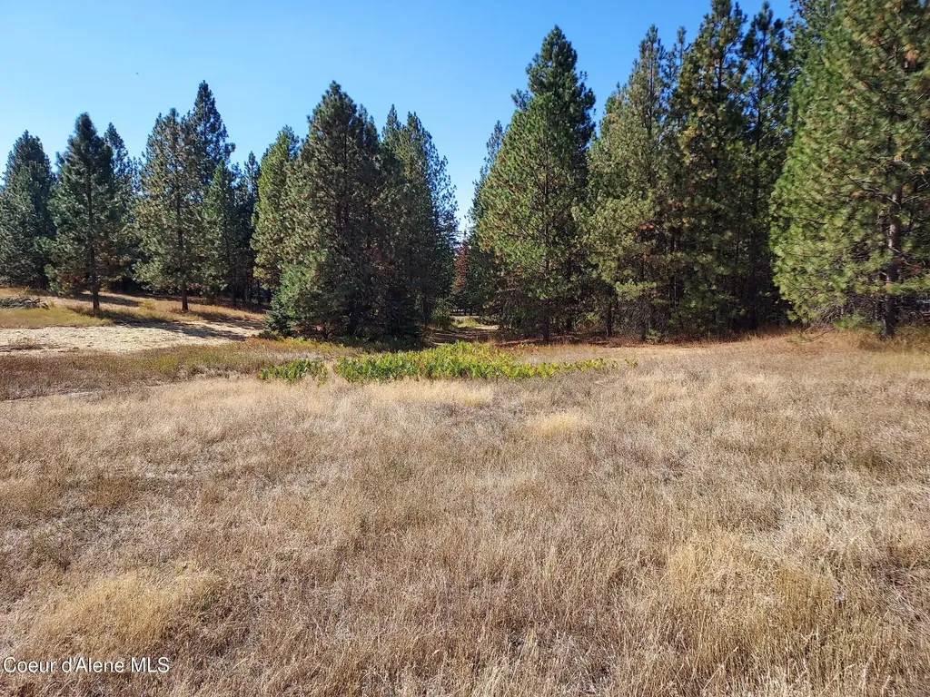 13534 S Ridgeview Drive Harrison ID 83833