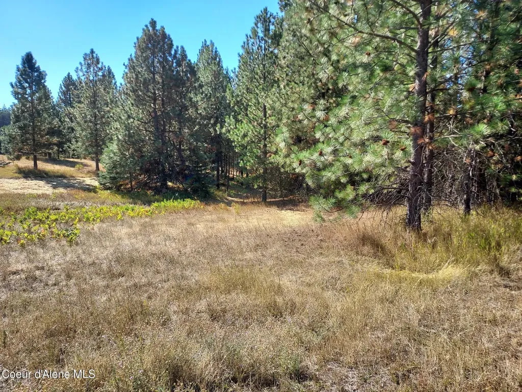 13534 S Ridgeview Drive Harrison ID 83833