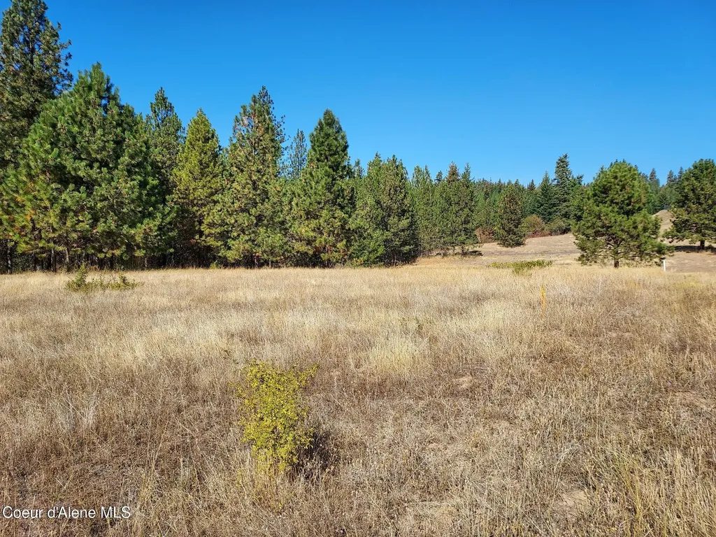 13534 S Ridgeview Drive Harrison ID 83833