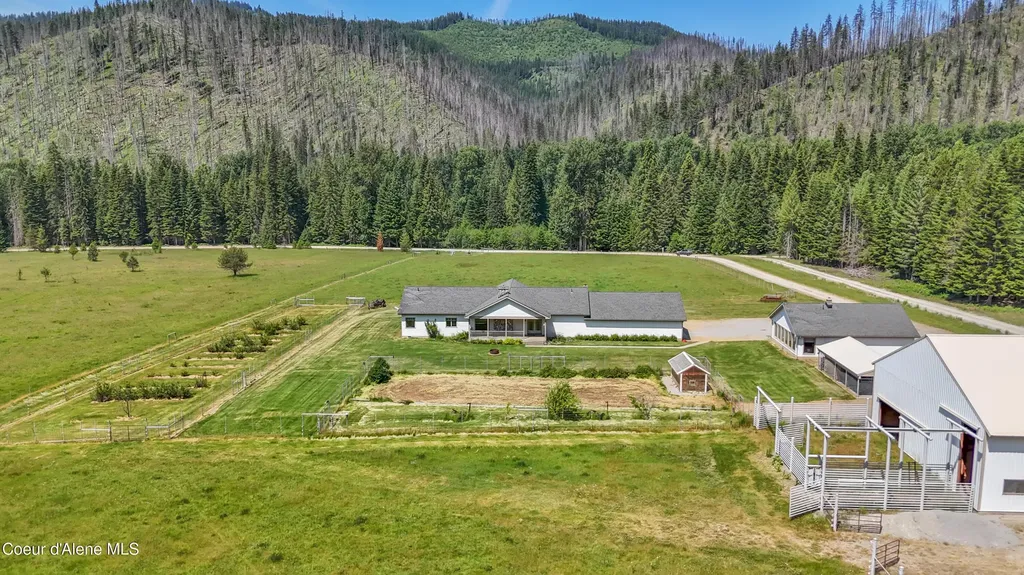 828 W Fork Eagle Creek Road Wallace ID 83873