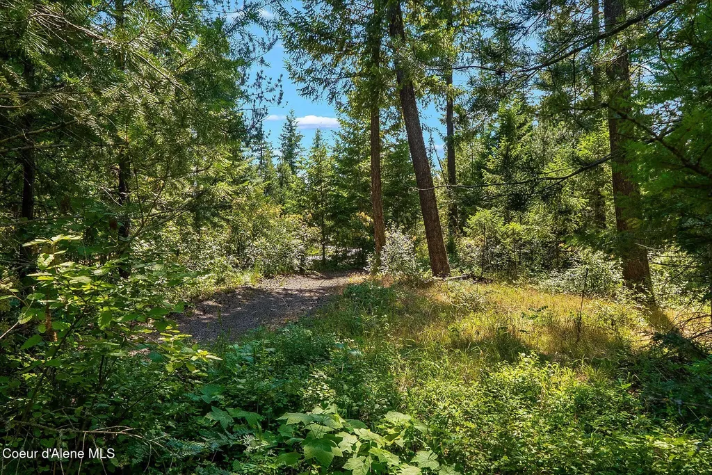 Nna B5l4 Graham Avenue Priest River ID 83856