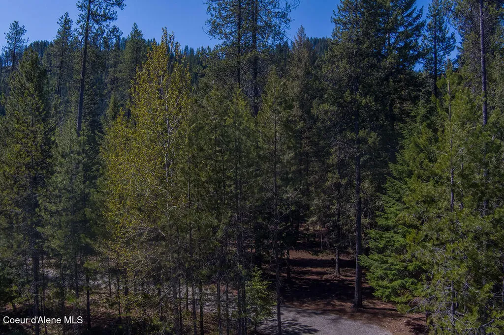 Blk 4 S Ryan Road Priest River ID 83856