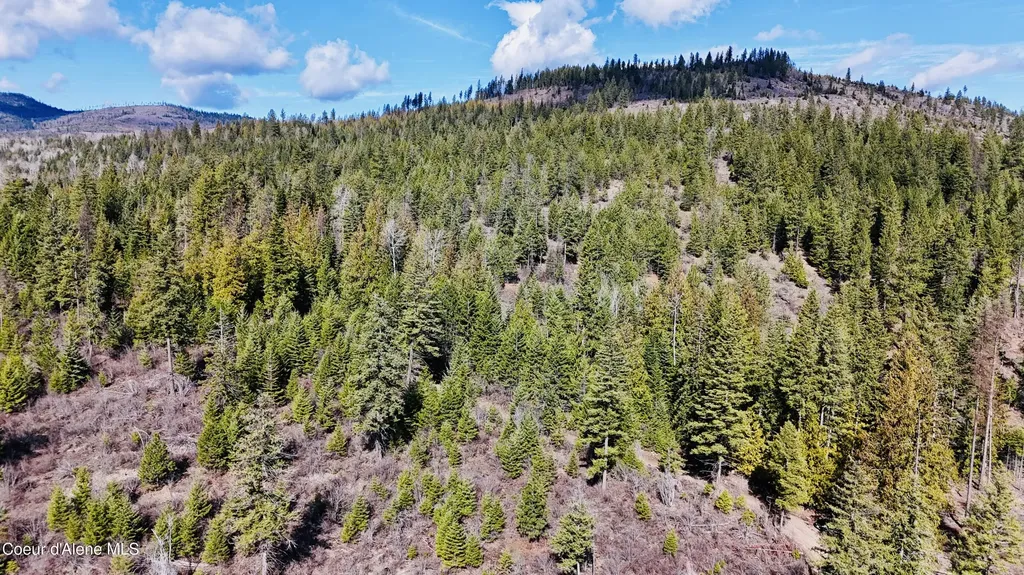 Nka N Whittum Road Priest River ID 83856