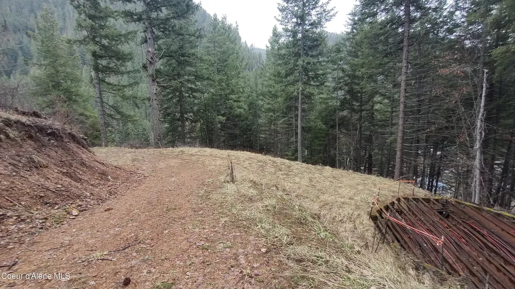 480 Dunn Peak Road Avery ID 83802