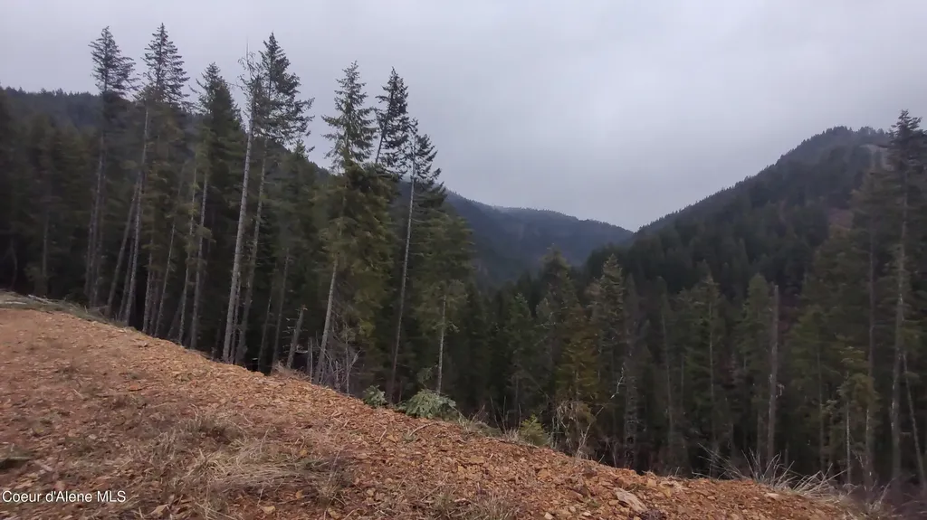 480 Dunn Peak Road Avery ID 83802