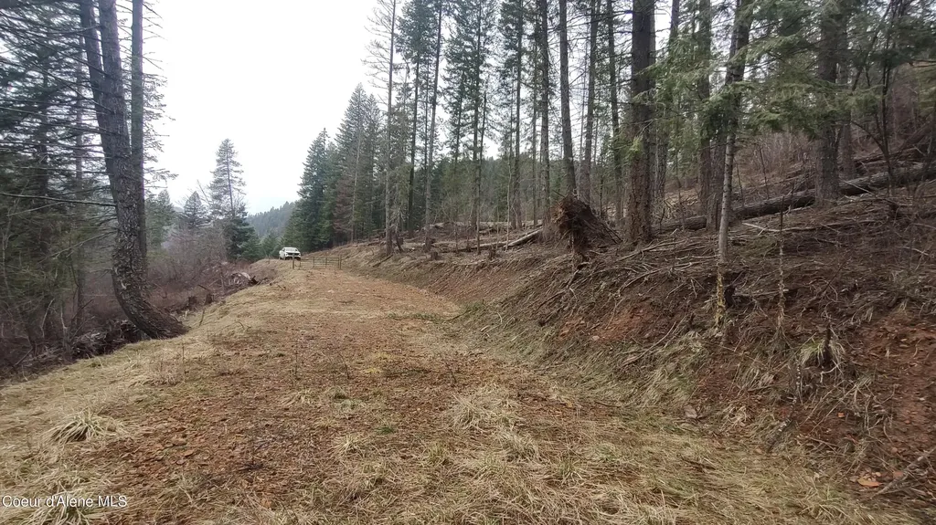 480 Dunn Peak Road Avery ID 83802