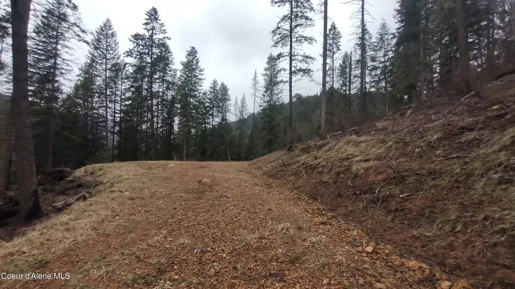 480 Dunn Peak Road Avery ID 83802