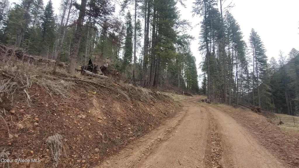 480 Dunn Peak Road Avery ID 83802