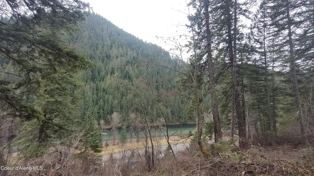 480 Dunn Peak Road Avery ID 83802