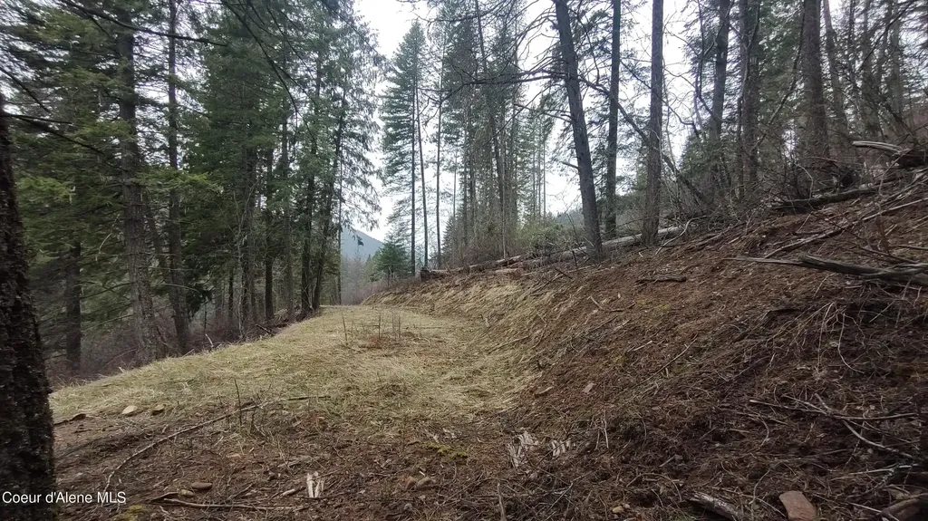 480 Dunn Peak Road Avery ID 83802