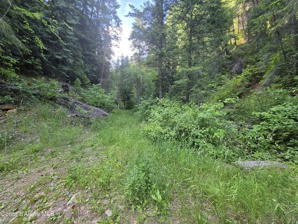 480 Dunn Peak Road Avery ID 83802