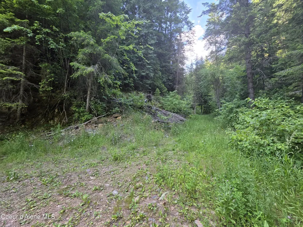 480 Dunn Peak Road Avery ID 83802