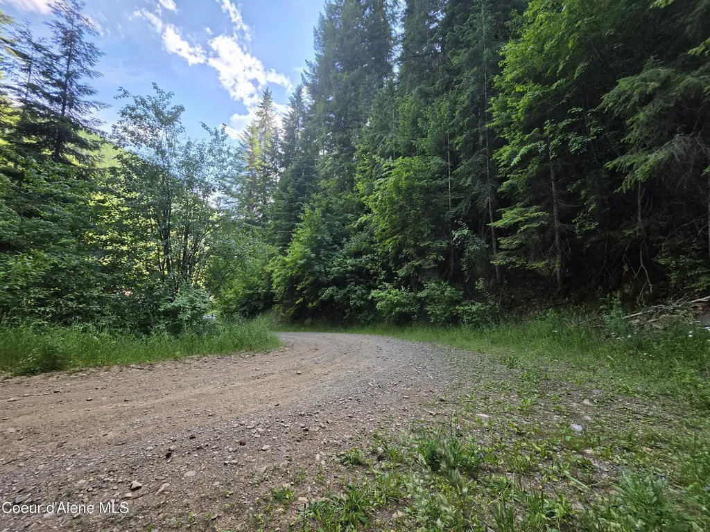 480 Dunn Peak Road Avery ID 83802