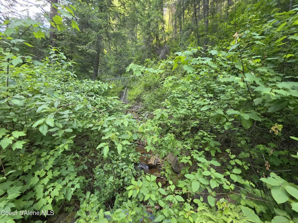480 Dunn Peak Road Avery ID 83802